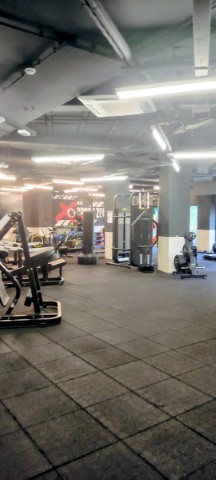 Synergym Toledo Buenavista