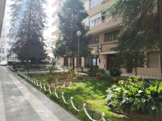 Dipawaly, Centro de Yoga | Pilates