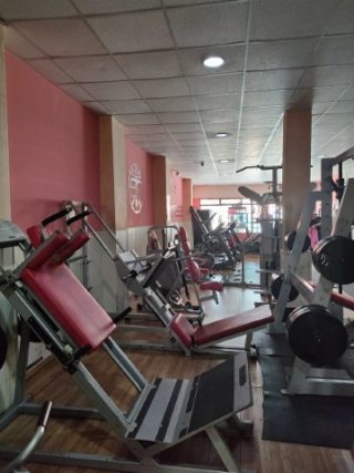 Gym Body Fitness