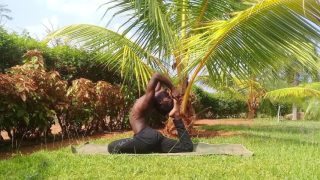 Samudra Yoga & Wellness