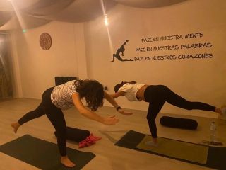 STUDIO YOGA PILATES FUNCIONAL