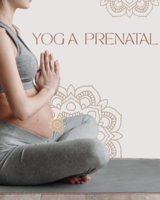 Yoga para embarazadas - Yoga con bebés - Vanessa Asanas