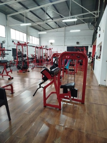 Elite Fitness Carmona