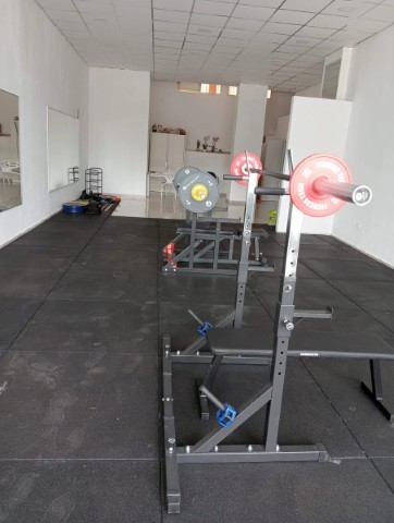 Entrena con sentido