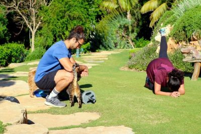 Evoluxion Fitness | Personal Trainer, Nutrition and Outdoor Sports