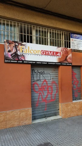 Falcongym