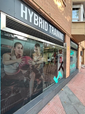 Hybrid Training