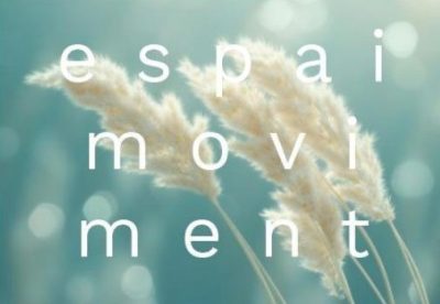 KRISU Espai Moviment