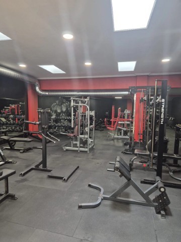 PREDATOR GYM