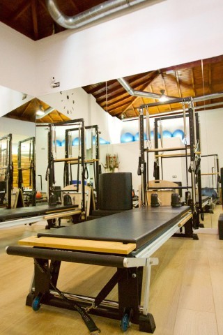 Studio 81 Wellness